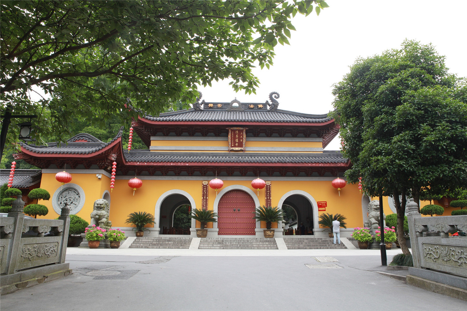 杭州西湖领略西湖之美,杭州西湖美景打卡