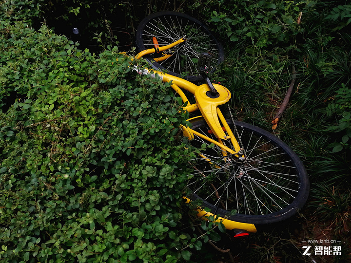 荣耀8x下巴宽度实测,荣耀8x手机技术参数