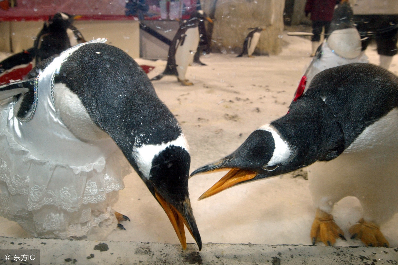 世界公认十大主题乐园 (盘点国外7大主题乐园)