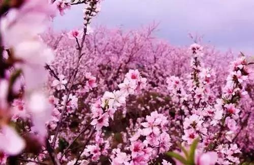 江苏省连云港地图高清版大图,连云港海地图怎么画