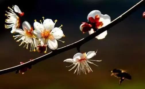 江苏省连云港地图高清版大图,连云港海地图怎么画