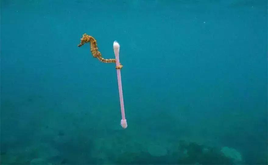 空气中的pm2.5是什么,pm25在空气中算不算