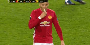 鑸屽皷涓婄殑鐗ц崏,鑸屽皷涓婄殑鑽夊師鐗涙帓