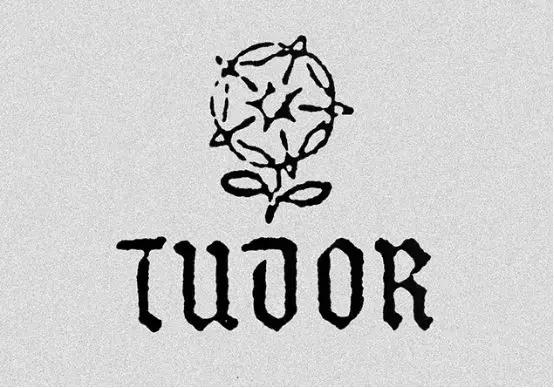 罐头水果,罐头潜水手表