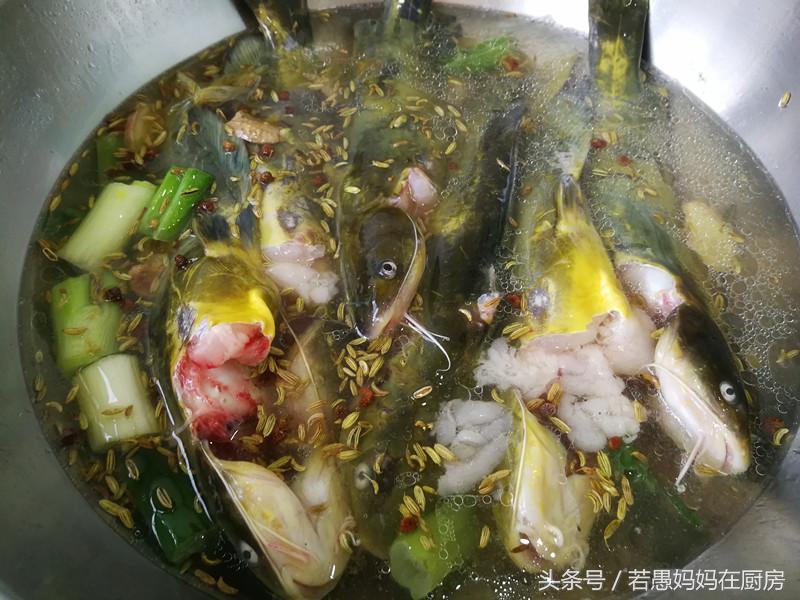 都说鱼好吃但这5种人最好少吃,都说鱼有寄生虫那到底能不能吃呢