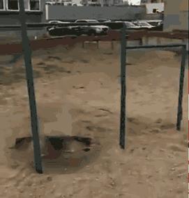 请问阁下可是向阳幼儿园扛把子？