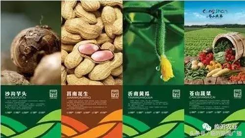 展销会火爆视频,展销火爆现场