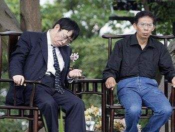 聂卫平是围棋人物吗,聂卫平在中国围棋界地位