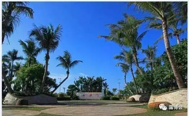 呦喂，老司机们！2018最新最全的海南营地数据更新啦……