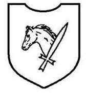 二战德国*党**卫军45个作战师的名称标志的由来以及他们之间的区别