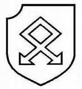 二战德国*党**卫军45个作战师的名称标志的由来以及他们之间的区别