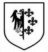 二战德国*党**卫军45个作战师的名称标志的由来以及他们之间的区别