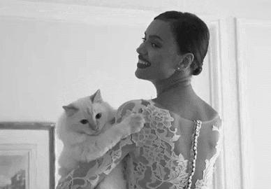 维密超模猫咪,维密秀猫咪