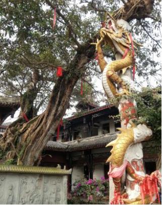 去黄龙溪旅游攻略,到黄龙溪走走放松一下心情