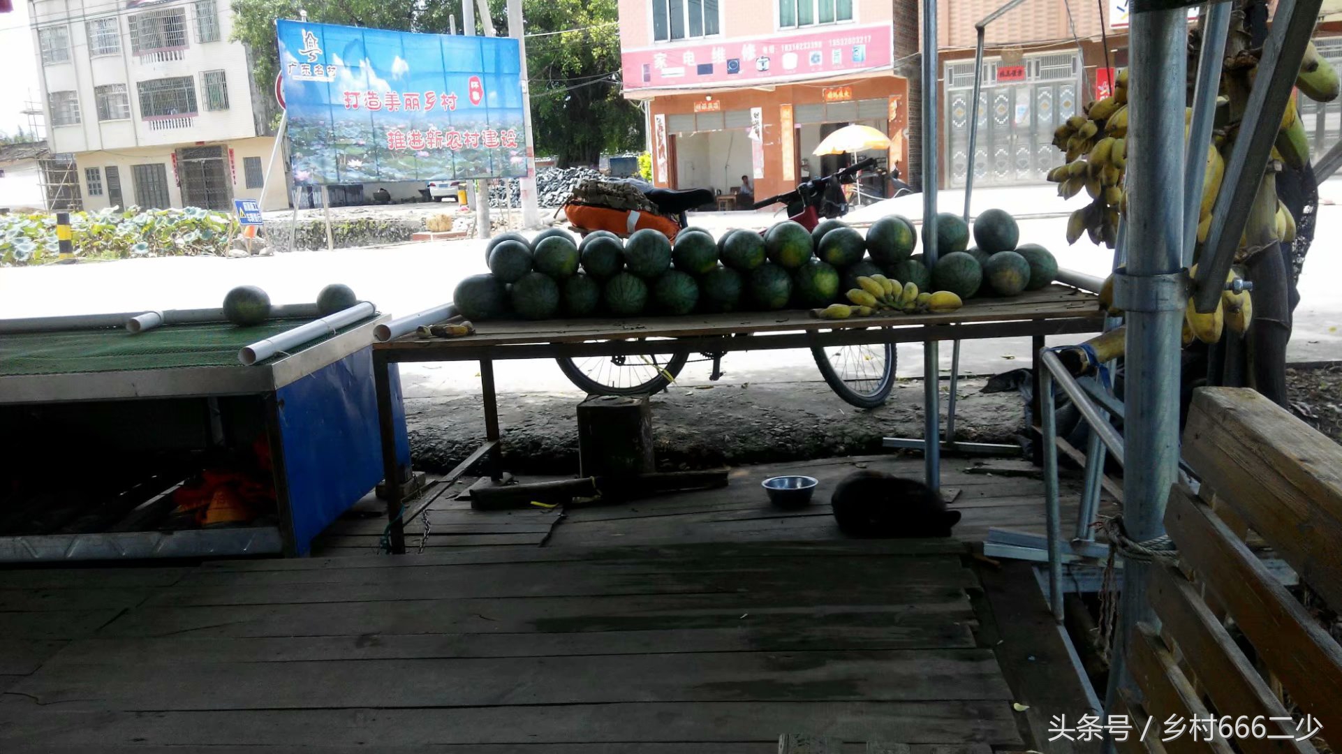 平凡之路赏析,平凡之路赏析及感悟