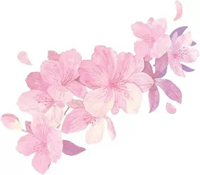 白露时节养生起居篇,白露防脾胃受寒养生之道网