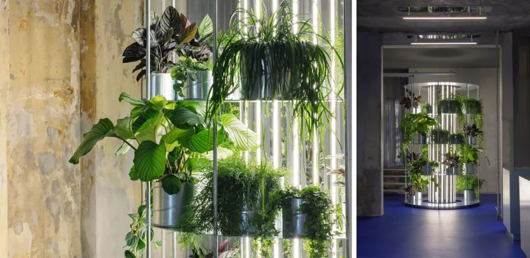 世界上最好的小花店,文艺复古小花店