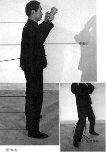 李小龙截拳道必杀技,李小龙的截拳道封手攻击