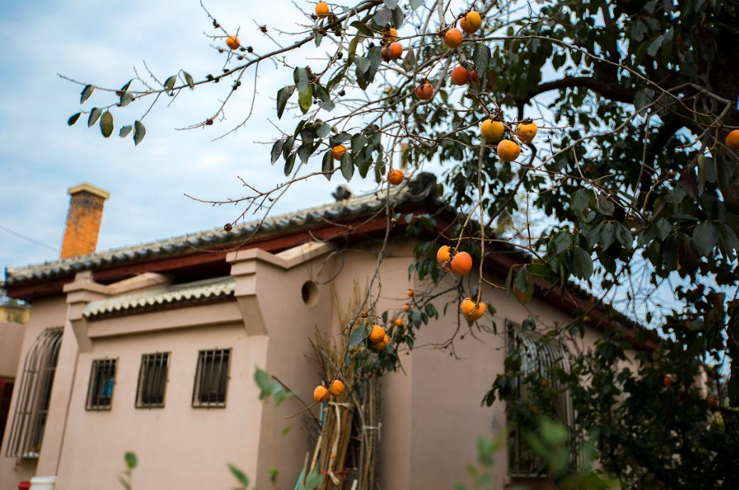 我存了256G的小黄片想和你深夜一起看