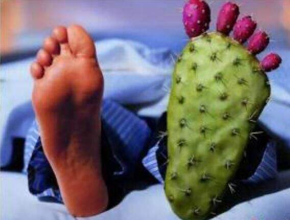 黑豆蛋白质含量是牛肉多少倍,黑豆含的蛋白质比牛奶高吗