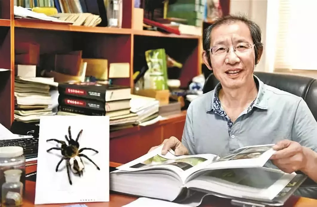 2023年荆楚好老师获奖名单,2020年荆楚好老师