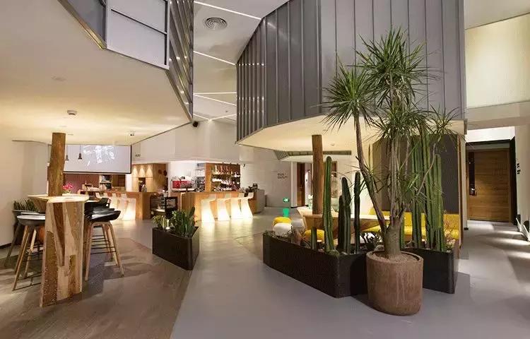 厦门白鹭洲筼筜湖西堤别墅民宿,去厦门推荐哪些酒店或民宿