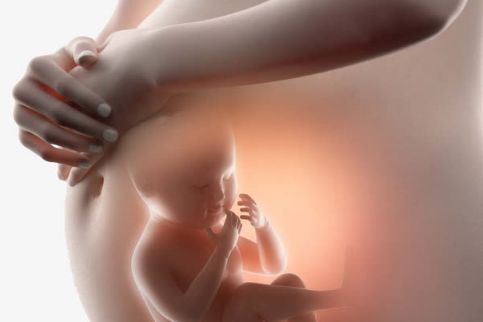 「备孕直通车」想治疗多囊卵巢综合征，这套方案很重要