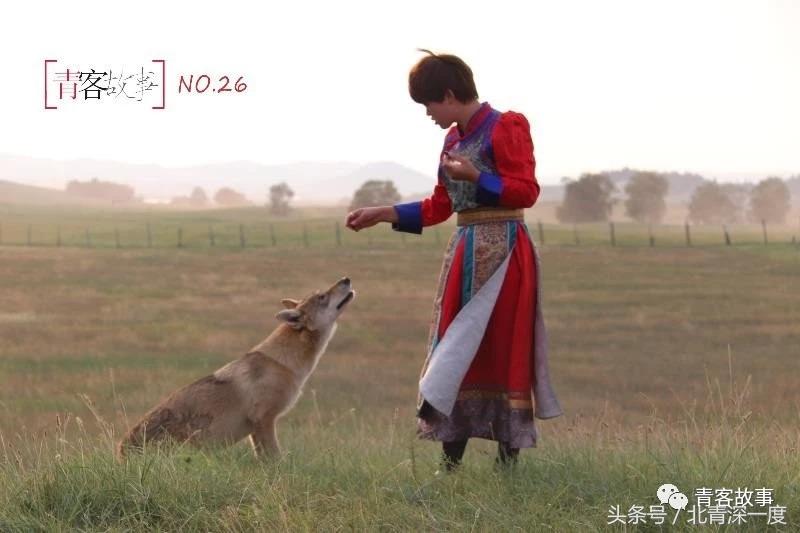 内蒙女孩网络直播养狼收获两百万粉丝关注｜青客故事