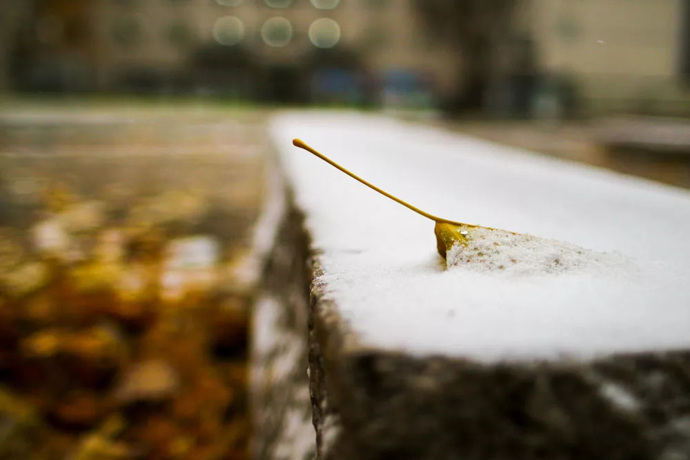北航和农大,北航的八大学院