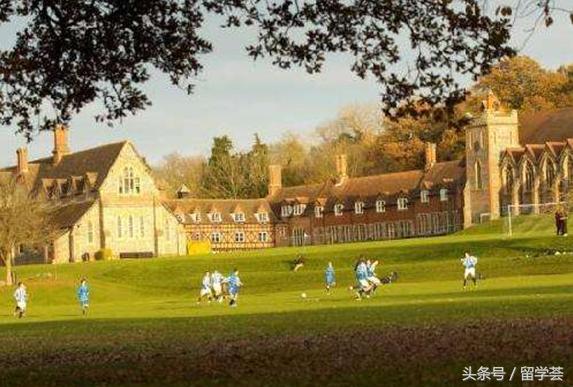 玛雅看小天采访,玛雅看天赋