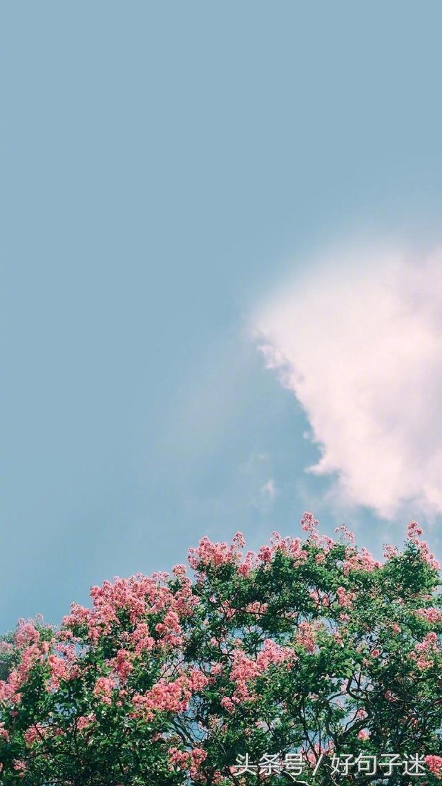 精辟有深度的签名,心情语录精致走心句句说到心窝上