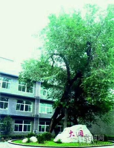 说东道西南小街（七、八、九、）：赵堂子胡同外交部街西总布胡同