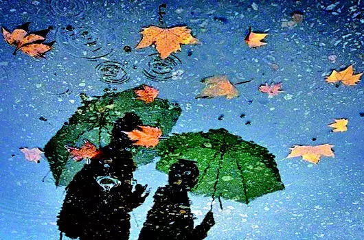 下了几场秋雨的天气谚语,预报天气的气象谚语