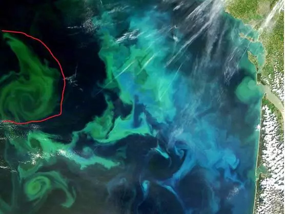 好物喷壶,好物喷雾