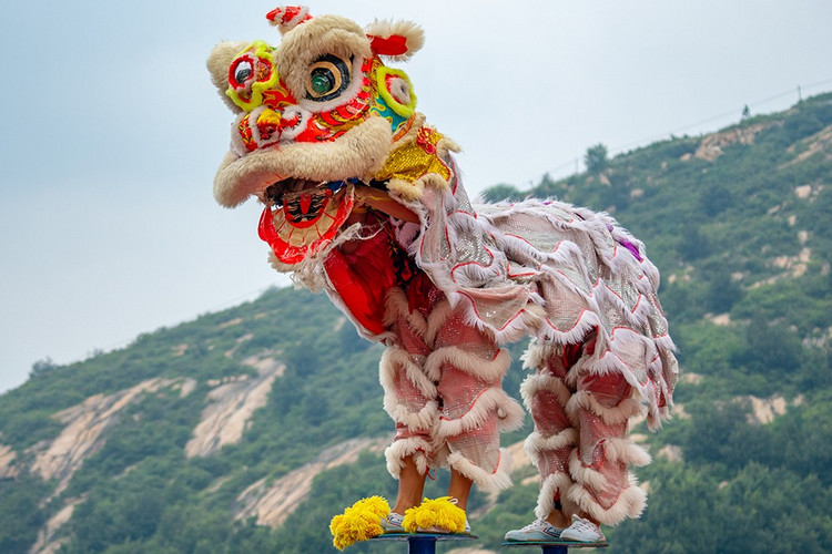 探寻自然与历史的魅力,走进大自然了解历史人文