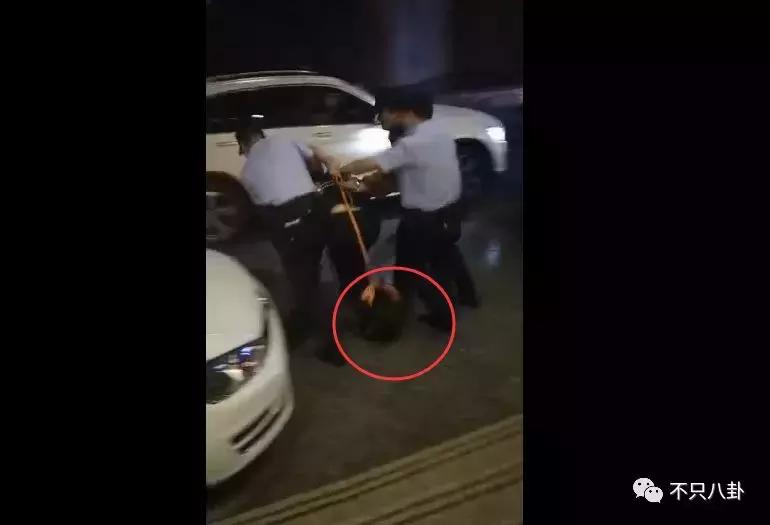 放狗咬人、脏话还打孕妇？以甜美著称且百万粉丝的她竟有两张面孔