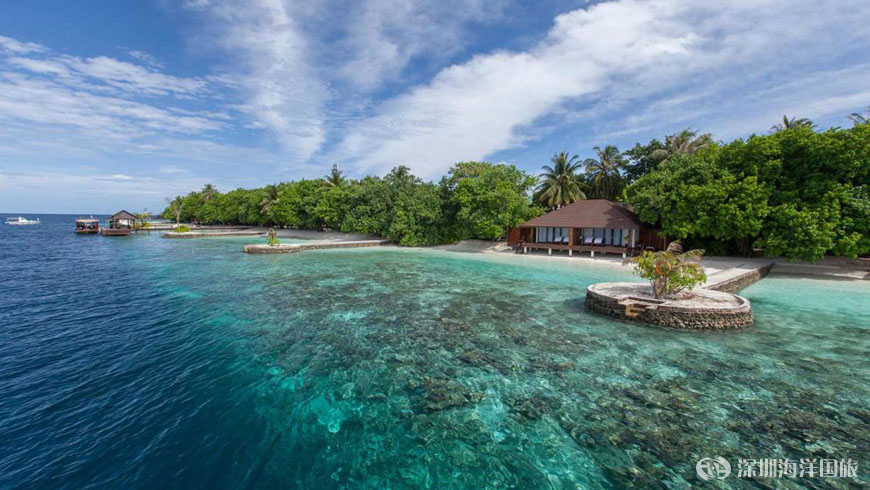 马尔代夫最强选岛攻略！摇旗呐喊一定要看！