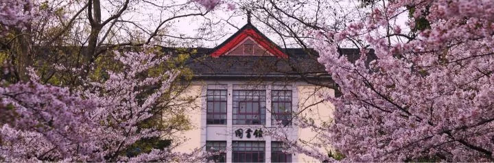 一个人在南京的生活感受,在南京生活很幸福吗