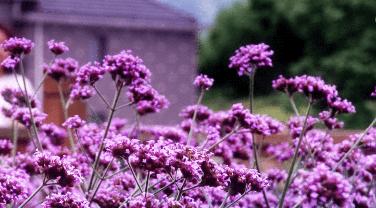 杭州民宿真实评价,杭州民宿真的很好吗