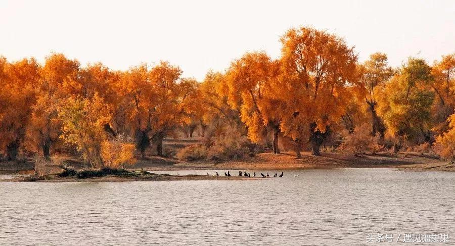 国庆七天疆内旅游从喀什出发,大美喀什游