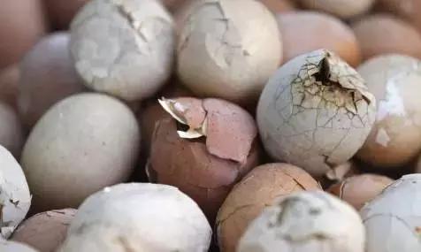 鸡蛋虽好但这7种蛋最好别吃,吃蛋的五大禁忌