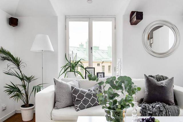 飞利浦车载空气净化器测评,飞利浦空气净化器测评