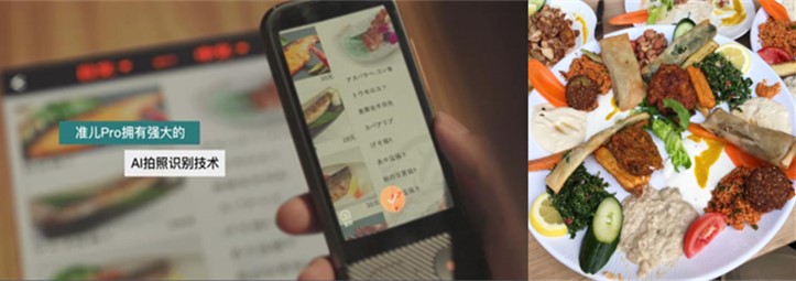 准儿翻译机pro测评,准儿翻译机pro评测