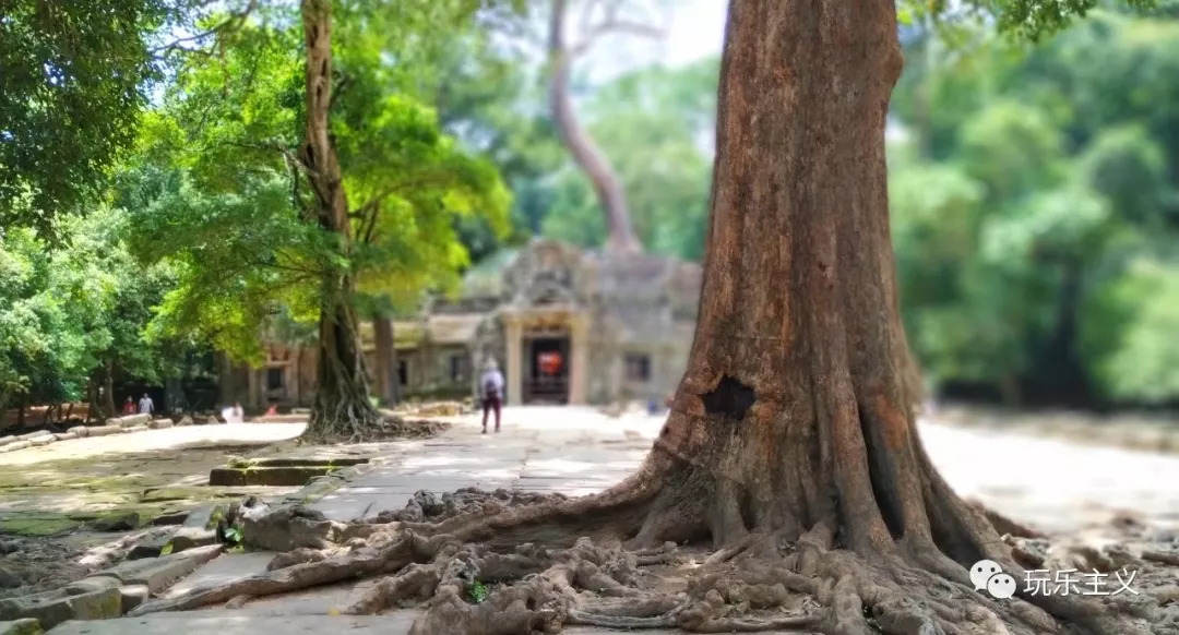 吴哥游玩详细攻略 (想把吴哥逛美了)