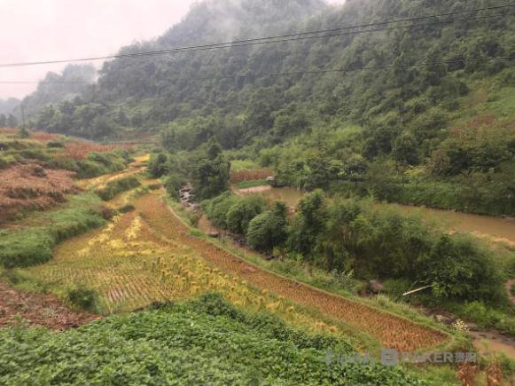 习水河流域文化遗产调查｜白骡坝田埂上出土汉晋时期网坠