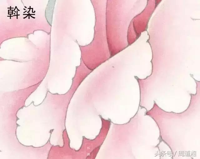 荷叶工笔画用什么方法渲染,工笔画渲染视频教程花卉