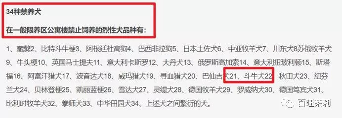玻尿酸网红殴打孕妇，还请水军洗白？这年头法盲都那么嚣张了吗