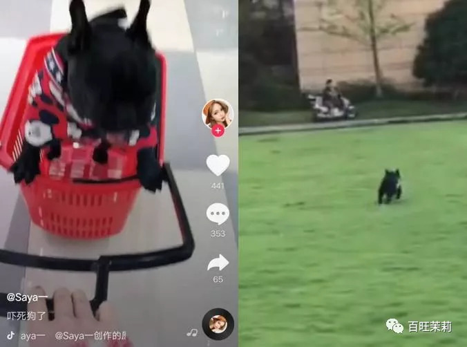 玻尿酸网红殴打孕妇，还请水军洗白？这年头法盲都那么嚣张了吗