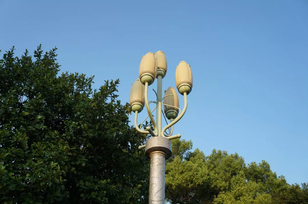 杭州西湖西子宾馆地址,杭州西子宾馆位置图