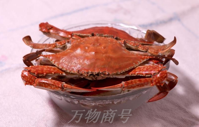 蝶岛海鲜东山岛特产,蝶岛海鲜